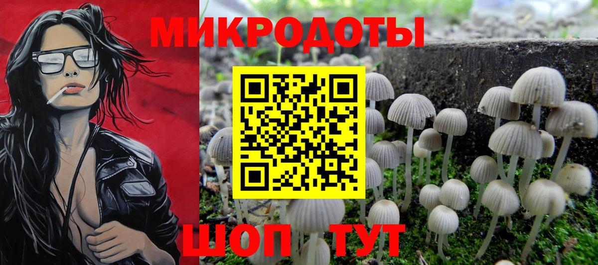 Галлюциногенные грибы MAGIC MUSHROOMS Павловский Посад