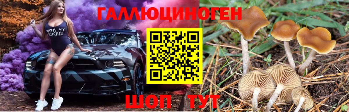 Галлюциногенные грибы Psilocybe  Вход с VPN  Галлюциногенные грибы Cubensis  Павловский Посад 